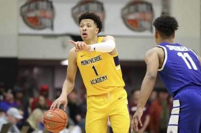 它更是人类 它更是人类