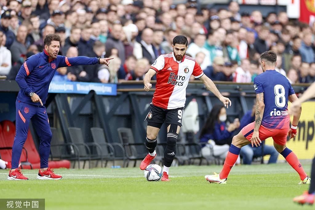 肢体功能 肢体功能